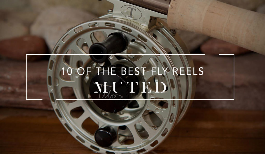 10 OF THE BEST FLY REELS BUYING GUIDES Muted